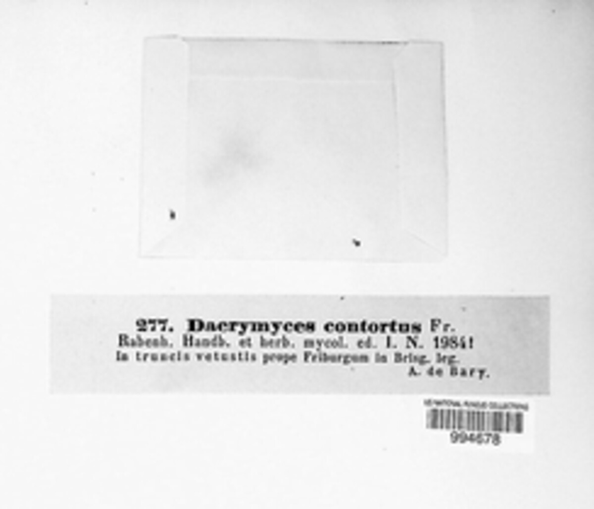 Dacrymyces contortus image